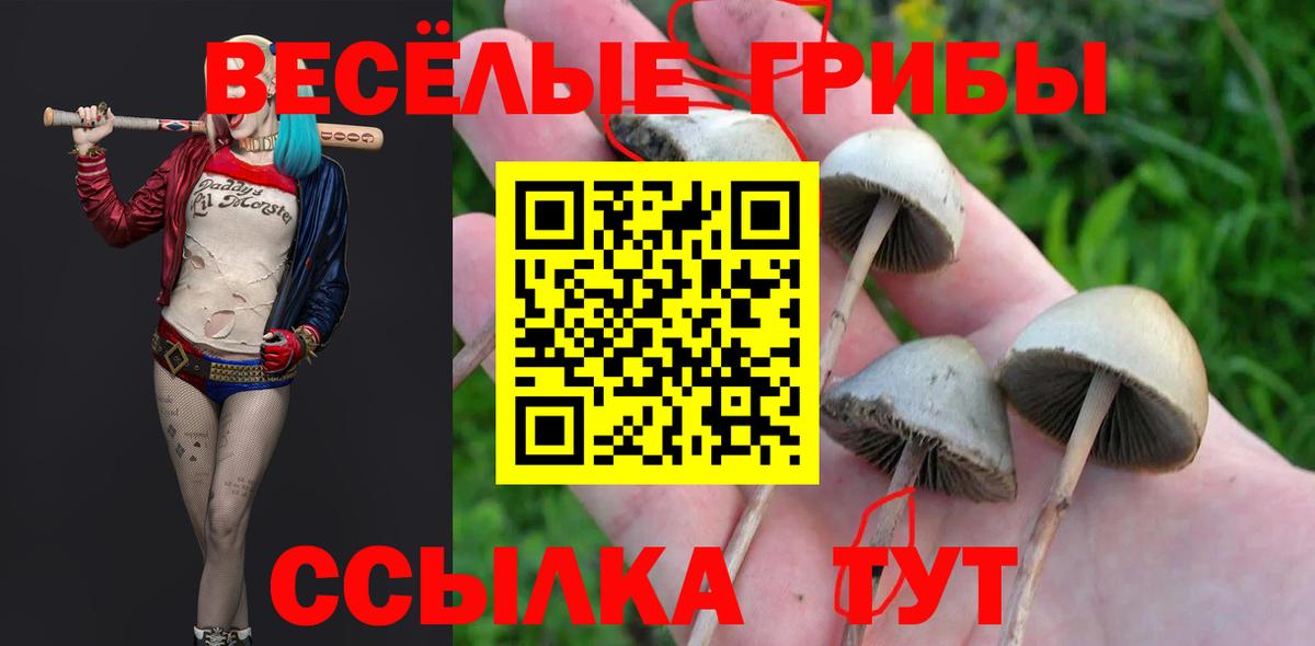 Псилоцибиновые грибы мухоморы Красногорск